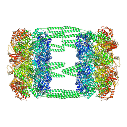 BU of 6lt4 by Molmil