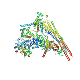 BU of 6lth by Molmil