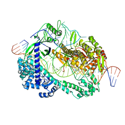 BU of 6ltr by Molmil