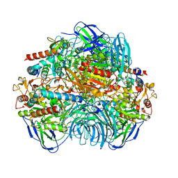 BU of 6lvb by Molmil