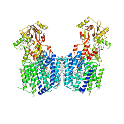 BU of 6lvf by Molmil