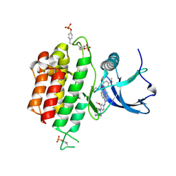 BU of 6lvm by Molmil