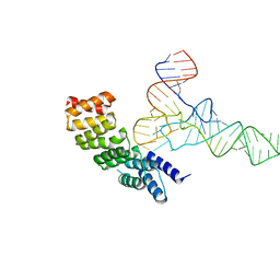 BU of 6lvr by Molmil