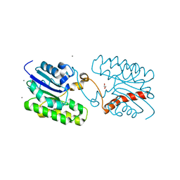 AU of 6m42 by Molmil