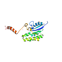 AU of 6m45 by Molmil