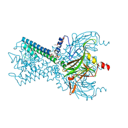 BU of 6m84 by Molmil