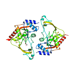 BU of 6mb4 by Molmil