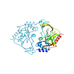 BU of 6mb5 by Molmil