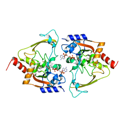 BU of 6mb6 by Molmil