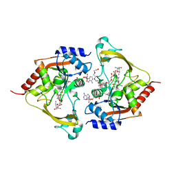 BU of 6mb9 by Molmil