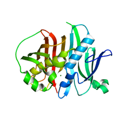 BU of 6mbf by Molmil