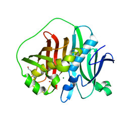 BU of 6mbg by Molmil