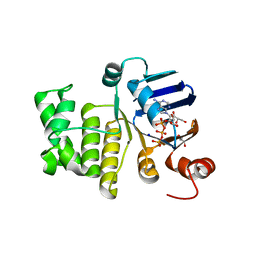 BU of 6mbn by Molmil