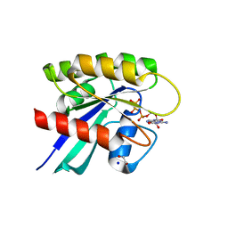 BU of 6mbq by Molmil