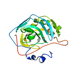 BU of 6mbv by Molmil