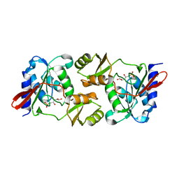 BU of 6mc0 by Molmil