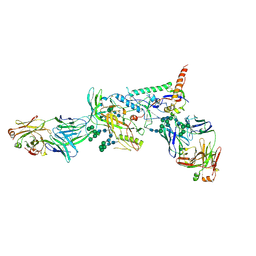 BU of 6mco by Molmil