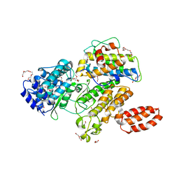 BU of 6mcp by Molmil