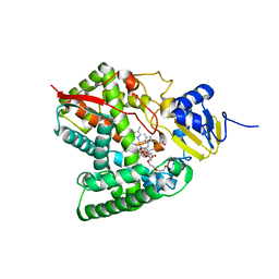 BU of 6mcw by Molmil