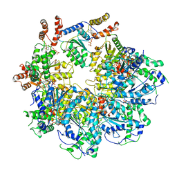 BU of 6mdp by Molmil