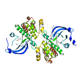 BU of 6mep by Molmil