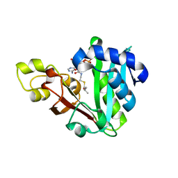 BU of 6mfd by Molmil