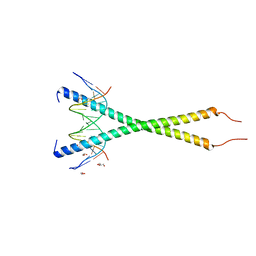 BU of 6mg1 by Molmil