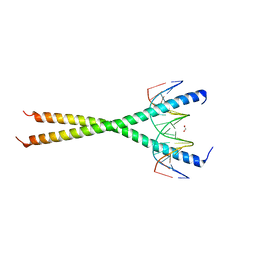 BU of 6mg3 by Molmil