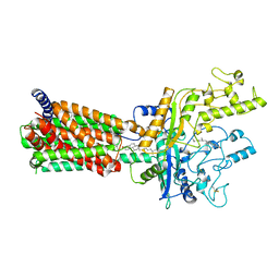 BU of 6mg8 by Molmil