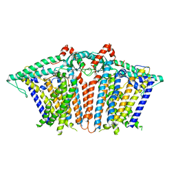 BU of 6mgv by Molmil