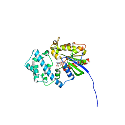 BU of 6mhf by Molmil