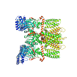 BU of 6mhv by Molmil