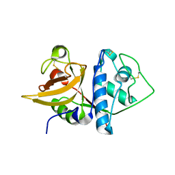 AU of 6mir by Molmil