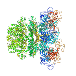 BU of 6mj2 by Molmil