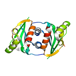 BU of 6mj8 by Molmil