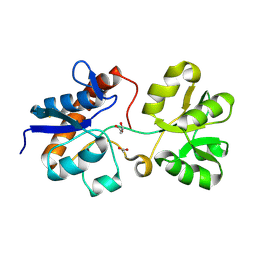 BU of 6ml0 by Molmil