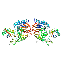 AU of 6ml1 by Molmil