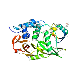 BU of 6ml1 by Molmil