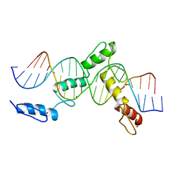 BU of 6ml2 by Molmil