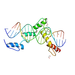 BU of 6ml6 by Molmil