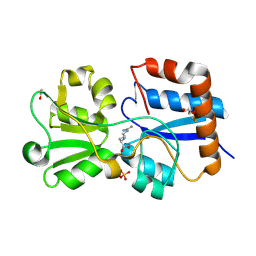 BU of 6mla by Molmil