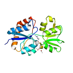 BU of 6mle by Molmil