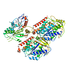 BU of 6mlq by Molmil