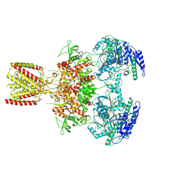 BU of 6mmh by Molmil