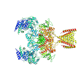 BU of 6mmp by Molmil