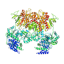 BU of 6mmv by Molmil