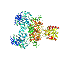 BU of 6mmx by Molmil