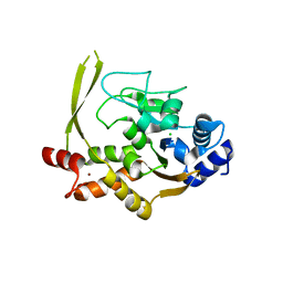 BU of 6mn3 by Molmil