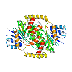 BU of 6mnc by Molmil