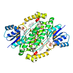 BU of 6mne by Molmil